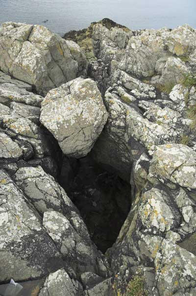 Isacs Hole on the Bower, 2005